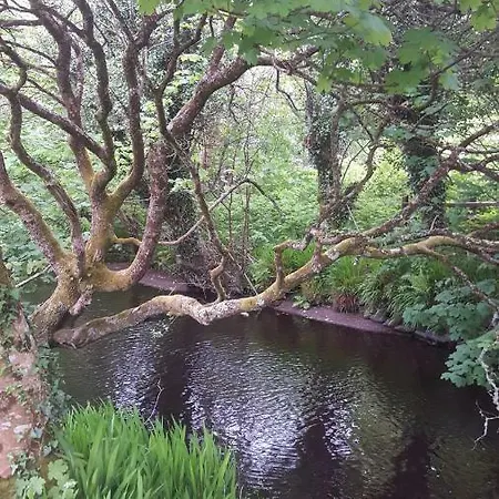 Dingle Way Glamping 招待所 *