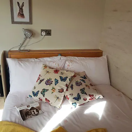 Dingle Way Glamping * 安纳斯考尔